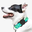 iFindX AT17 Silicone Pet Collar Holder